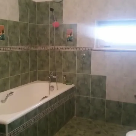 Vila Nely בית הארחה *