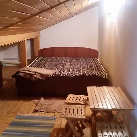 Vila Nely בית הארחה
