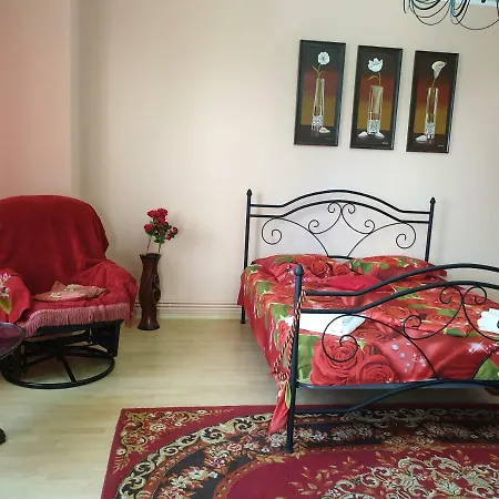 בית הארחה Vila Nely קונסטנצה